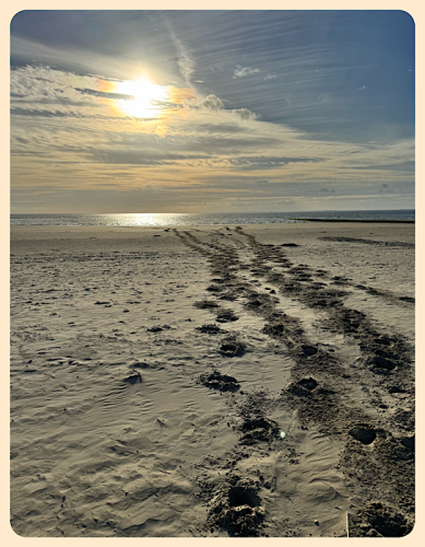 Strandstimmung als Suchbild Strandstimmung als Suchbild